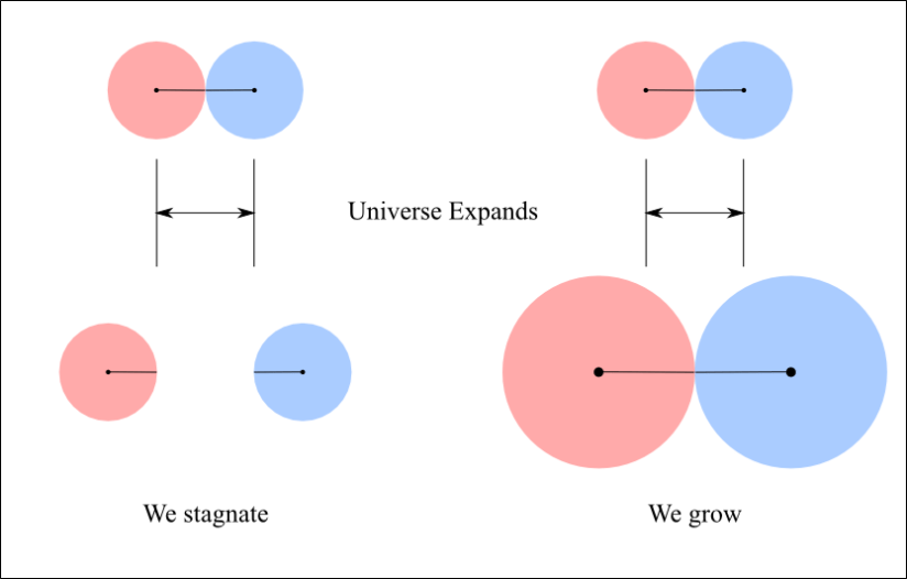 GrowingWithinExpandingUniverse