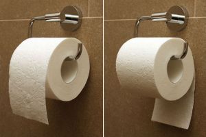 toilet-paper